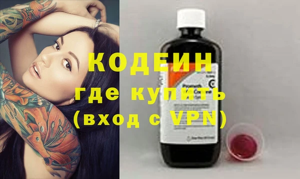 хмурый Алексин