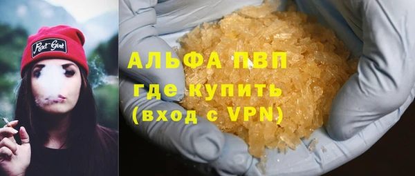 хмурый Алексин