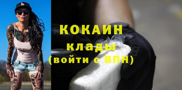 хмурый Алексин