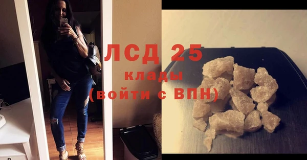 хмурый Алексин