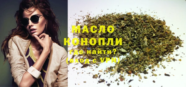 шишки Няндома