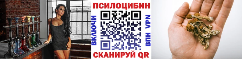 Галлюциногенные грибы MAGIC MUSHROOMS ссылка на мегу маркетплейс Пошехонье магазин продажи наркотиков