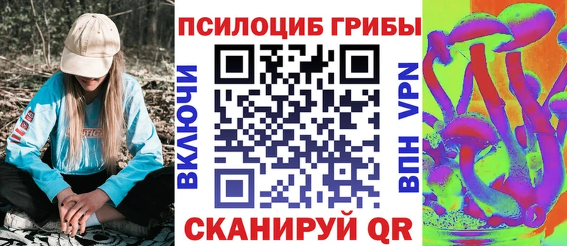 Псилоцибиновые грибы мицелий Пошехонье